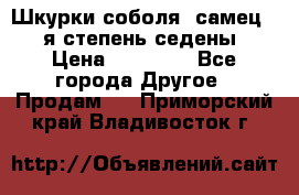 Шкурки соболя (самец) 1-я степень седены › Цена ­ 12 000 - Все города Другое » Продам   . Приморский край,Владивосток г.